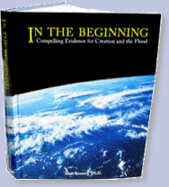 in_the_beginning