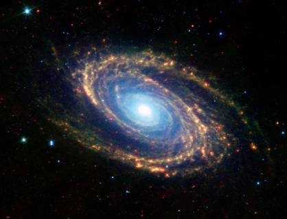 M81